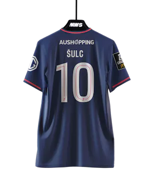 Pavel Šulc Olympique Lyonnais forması