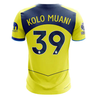 Randal Kolo Muani Tottenham Hotspur jersey