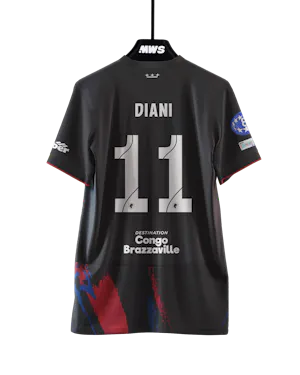 Camiseta Kadidiatou Diani OL Lyonnes