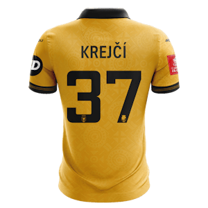 Ladislav Krejčí Wolverhampton Wanderers jersey