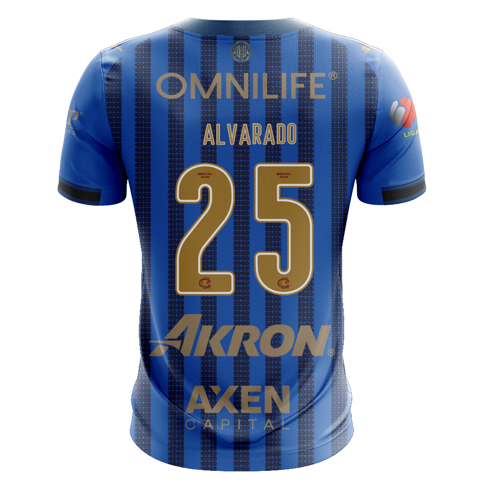 Roberto Carlos Alvarado Hernández Chivas Guadalajara shirt