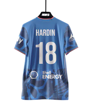 Cate Hardin Houston Dash shirt