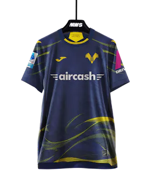 来自Hellas Verona FC的Ioan Vermesan球衣