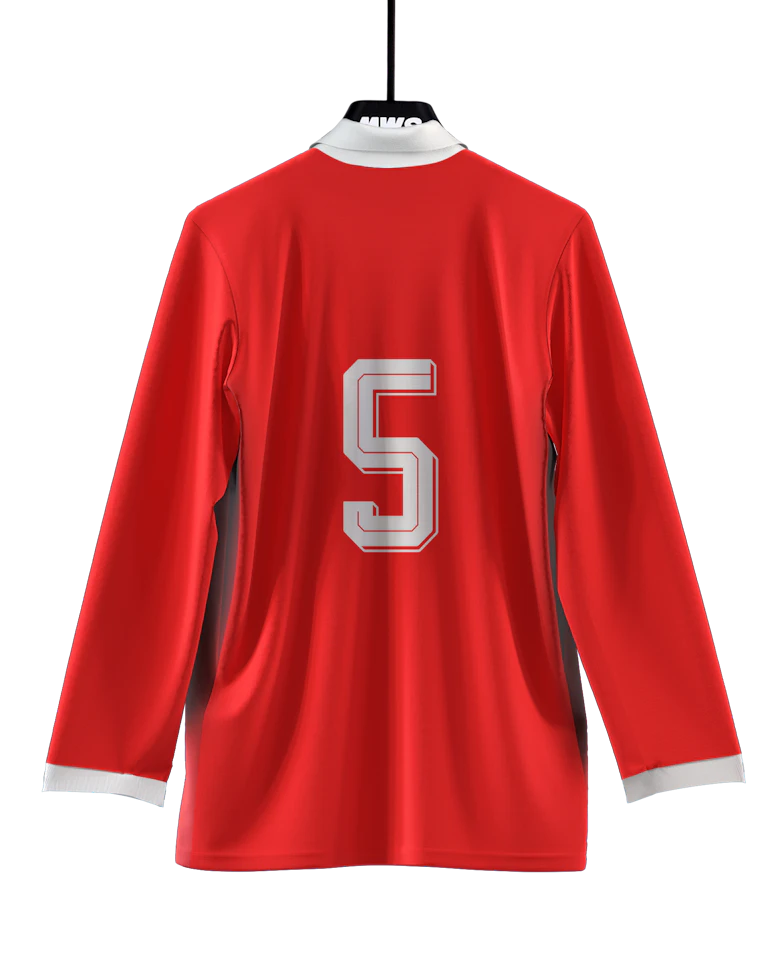 Ethan Ampadu Wales shirt