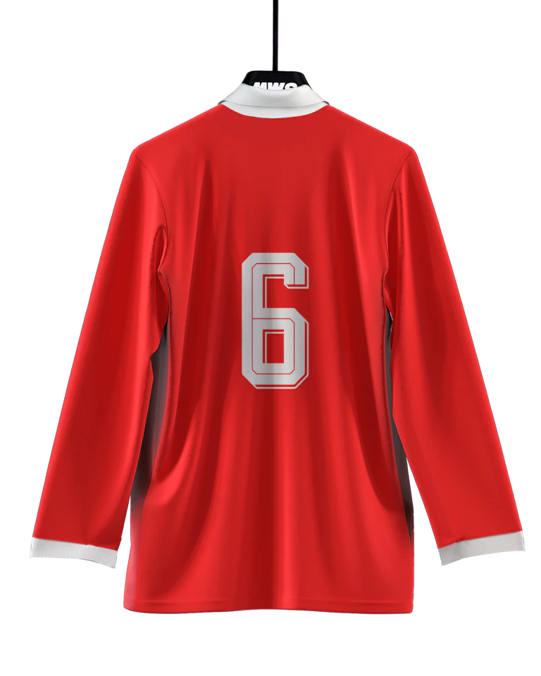 Wales-Trikot von Joe Rodon