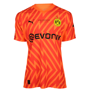 Alexander Meyer Borussia Dortmund shirt