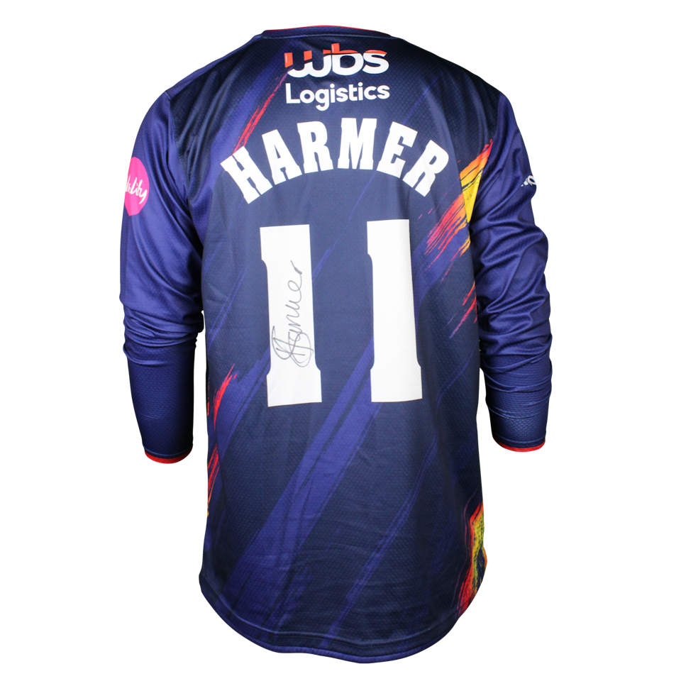 Simon Harmer 