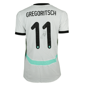 Michael Gregoritsch Austria forması