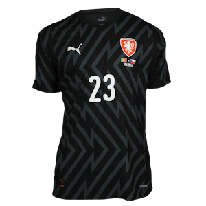 Vitezslav Jaros Czechia shirt