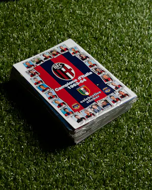 Celebrative Stickers - Limited Edition 44/100