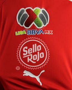 Roberto Alvarado Chivas Guadalajara jersey