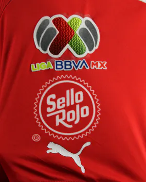 Camiseta Roberto Carlos Alvarado Hernández Chivas Guadalajara