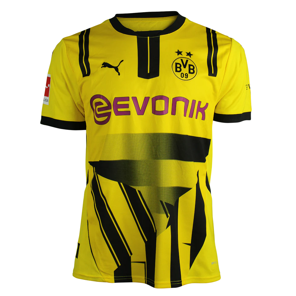 来自Borussia Dortmund的Julian Ryerson球衣