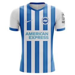 ウェア Brighton & Hove Albion FC football shirt BRIGHTON HOVE ALBION TRAINING FOOTBALL SHIRT SOCCER JERSEY
