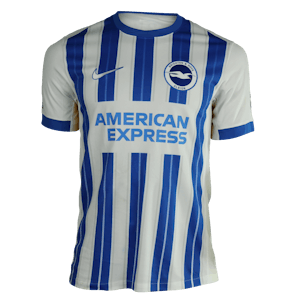 James Milner Brighton & Hove Albion jersey