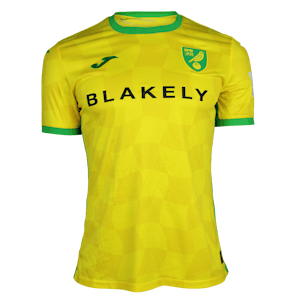 Camiseta Kellen Fisher Norwich City