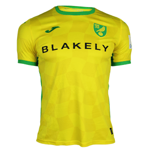 Jersey Borja Sainz Eguskiza Norwich City