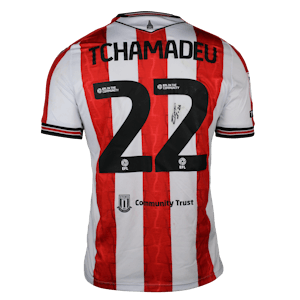 Junior Tchamadeu Stoke City shirt