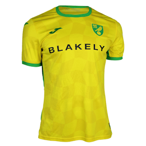 Kenny McLean Norwich City shirt