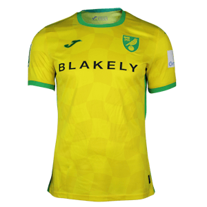 Camiseta Jack Stacey Norwich City