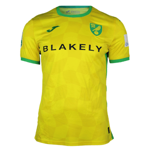 Maillot de Liam Gibbs (Norwich City)