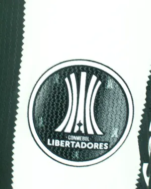 来自Botafogo的Jefferson David Savarino Quintero球衣