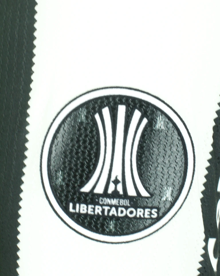 来自Botafogo的Jefferson David Savarino Quintero球衣