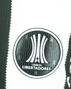 Luiz Henrique Botafogo shirt