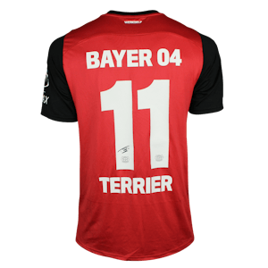 Martin Terrier