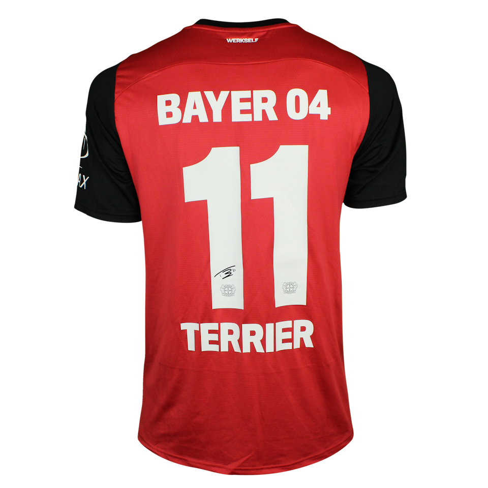 Martin Terrier