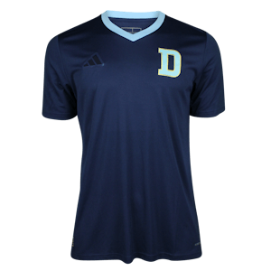 Magnus Eriksson Djurgården shirt