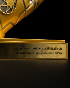 The Golden Glove - Best Goalkeeper of the Year