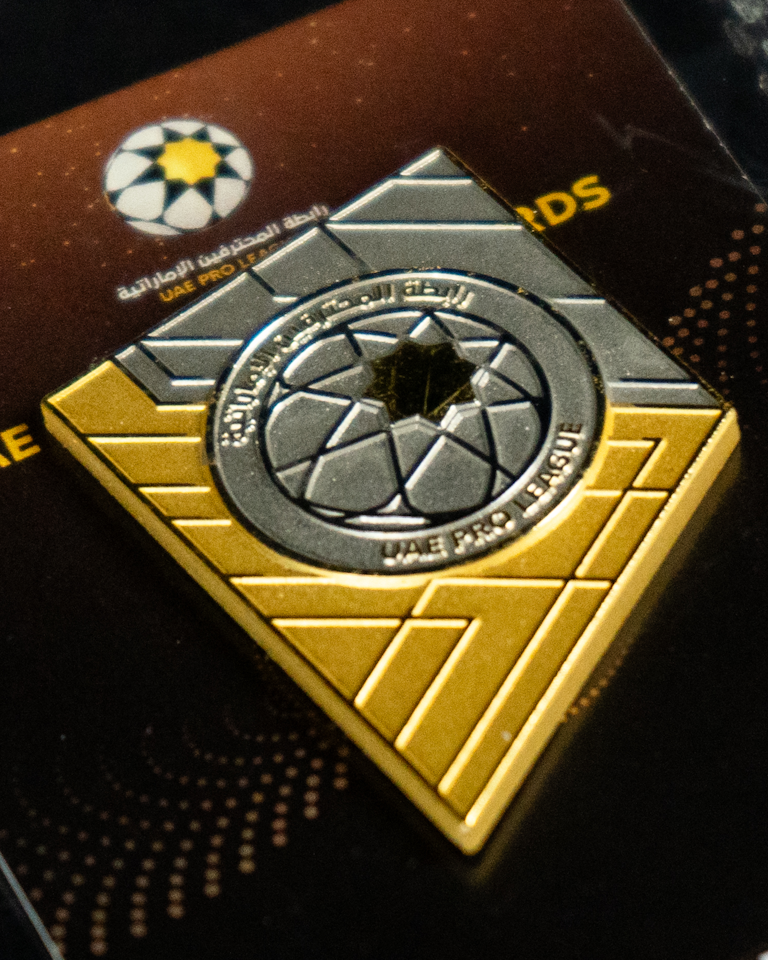 Awards Pin - 3