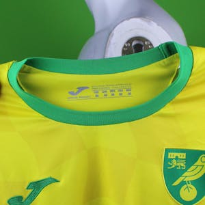 Onel Lázaro Hernández Mayea Norwich City shirt