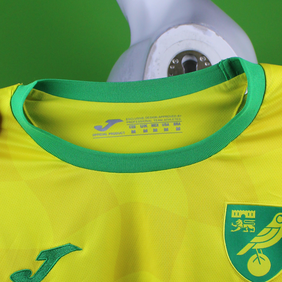 Onel Lázaro Hernández Mayea Norwich City shirt