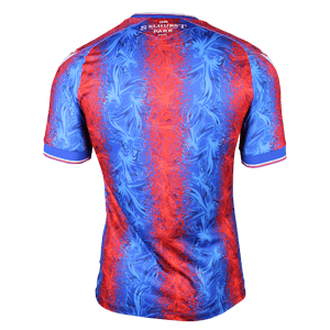 Joel Ward Crystal Palace shirt