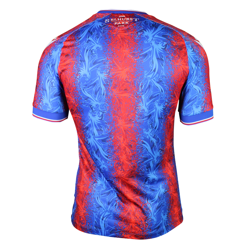 Joel Ward Crystal Palace shirt