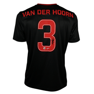Mike van der Hoorn