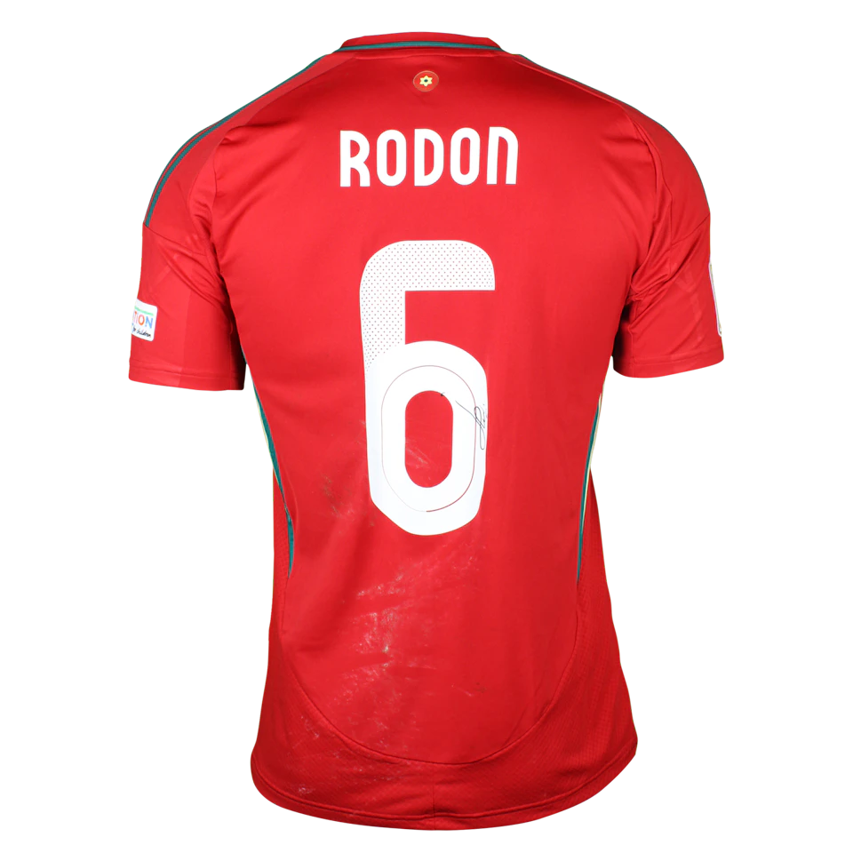 Maillot de Joe Rodon (Wales)
