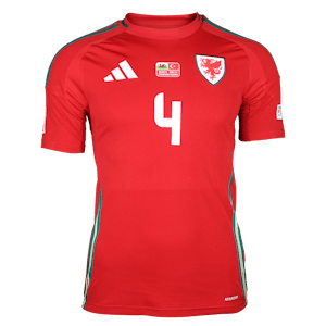 Ben Davies Wales shirt