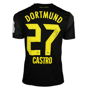 Gonzalo Castro