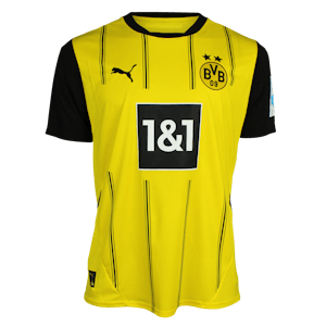 Mohamed Zidan