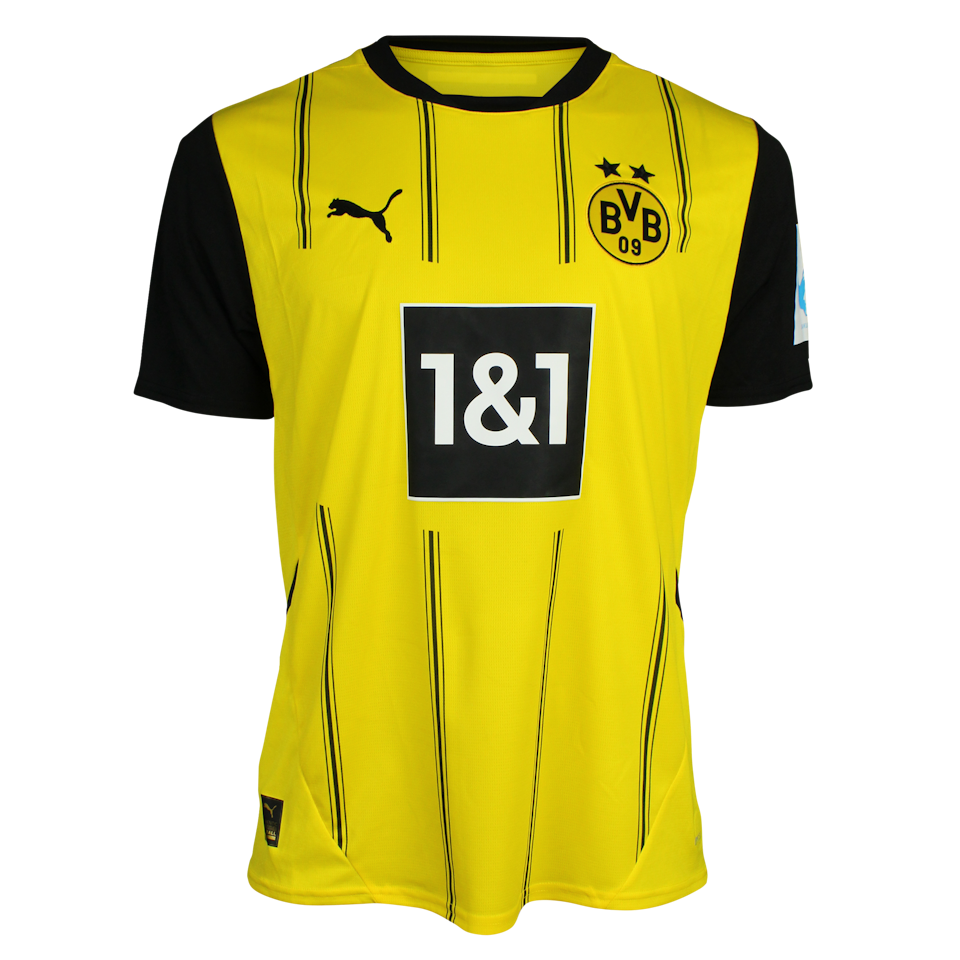 Mohamed Zidan