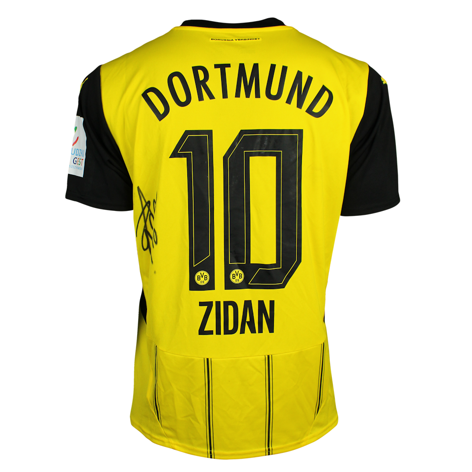 Mohamed Zidan