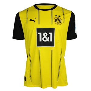Mladen Petric | Borussia Dortmund