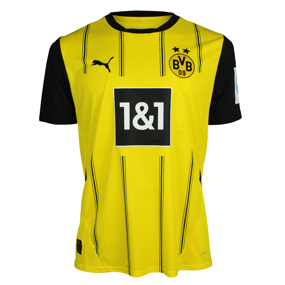 Mladen Petric | Borussia Dortmund