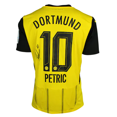 Mladen Petric | Borussia Dortmund