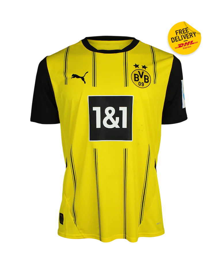 Mladen Petric | Borussia Dortmund