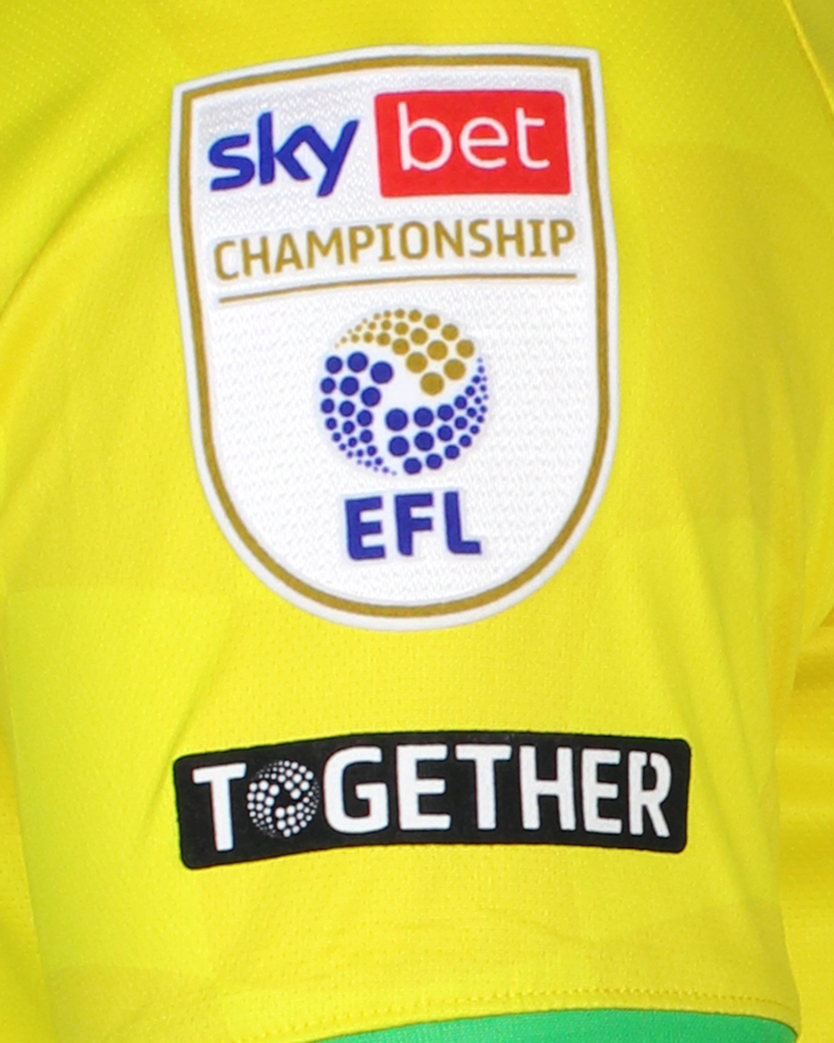 Camisa de José Cordoba Chambers Norwich City