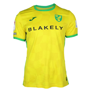 Camisa de José Cordoba Chambers Norwich City